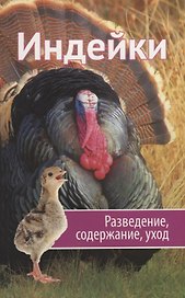 Индейки. Разведение, содержание, уход