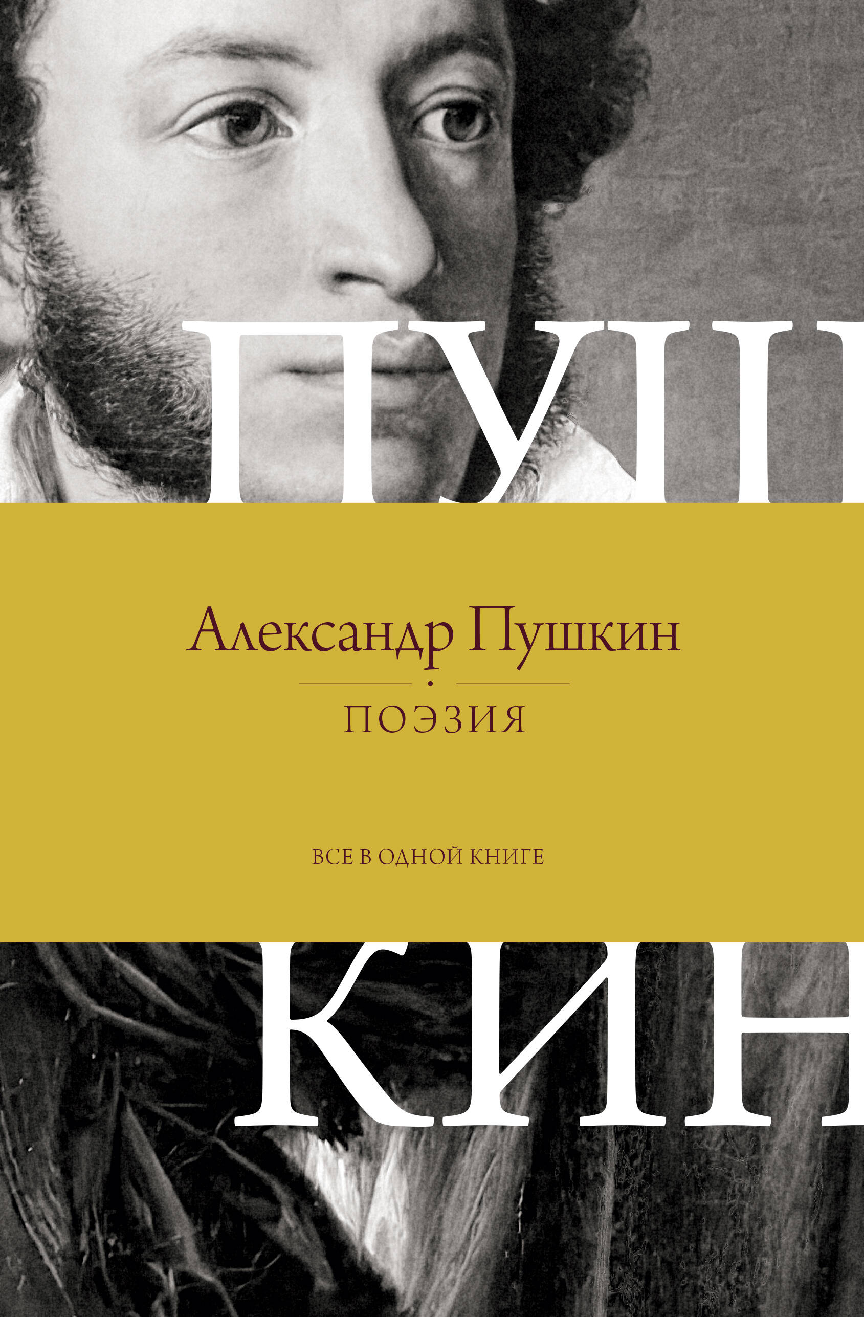 Поэзия. Все в одной книге
Поэзия. Все в одной книге