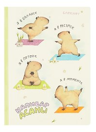 Блокнот «Гаас. Капибар Асаны», Be positive