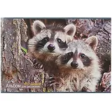 Альбом для рисования Unnika, "Любопытные еноты", А4, 40 листов, на скрепке