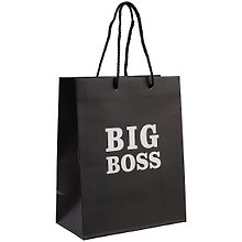Пакет А5 23*18*10 "Big boss.Basic" нейтр., бум.мат.ламинат