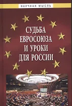 Судьба Евросоюза и уроки для России