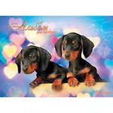 Альбом для рисования 24л А4 "Милые таксы" евроспираль, Unnika