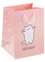 Пакет А5 23*18*10 "Обнимяу. Basic" жен., бум.мат.ламинат