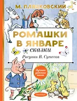 Ромашки в январе. Сказки