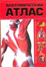 Анатомический атлас
