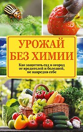 Урожай без химии: как защитить сад и огород от вредителей и болезней, не навредив себе