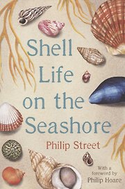 Shell Life on the Seashore