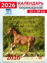 Календарь 2026г 220*240 «Год лошади.Жеребята» настенный, на скрепке