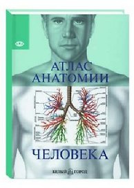 Атлас анатомии человека