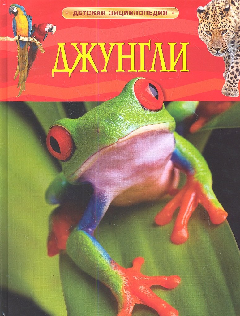 Джунгли
Джунгли