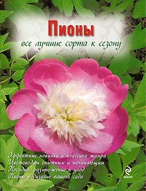 Пионы