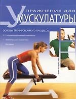 Упражнения для мускулатуры. Основы тренировочного процесса