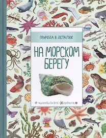 На морском берегу. Природа в деталях