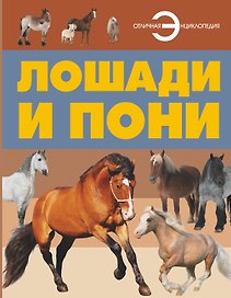 Лошади и пони