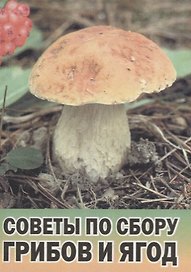Советы по сбору грибов и ягод