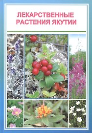 Лекарственные растения Якутии