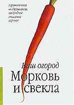 Морковь и свекла