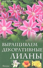 Выращиваем декоративные лианы