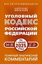 Уголовный кодекс Российской Федерации на 1 июня 2025 года. Понятный практический комментарий