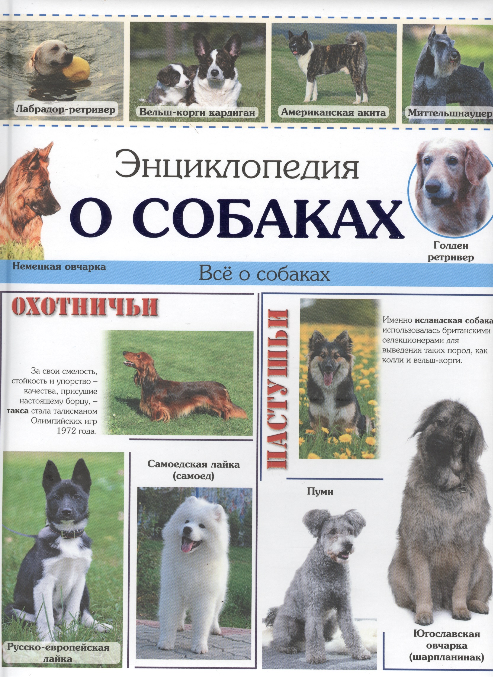 Энциклопедия о собаках
Энциклопедия о собаках
