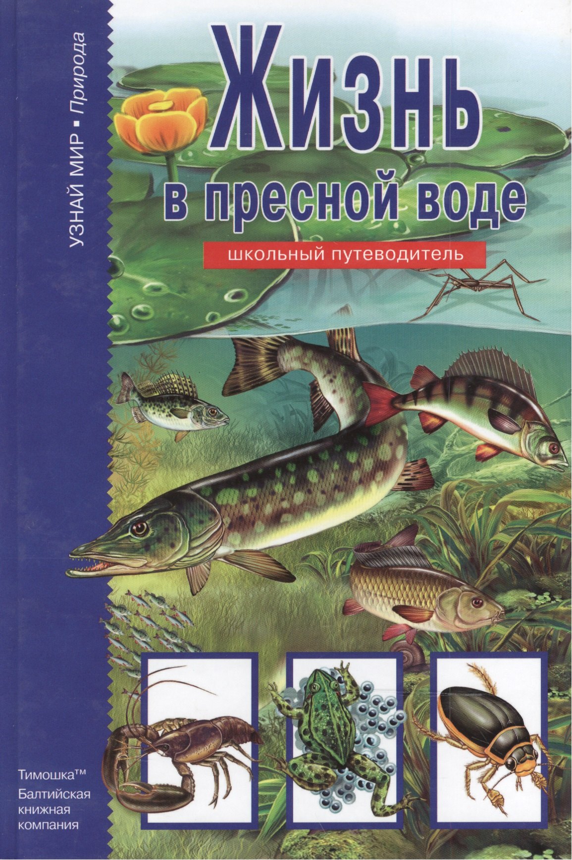 Жизнь в пресной воде.
Жизнь в пресной воде.