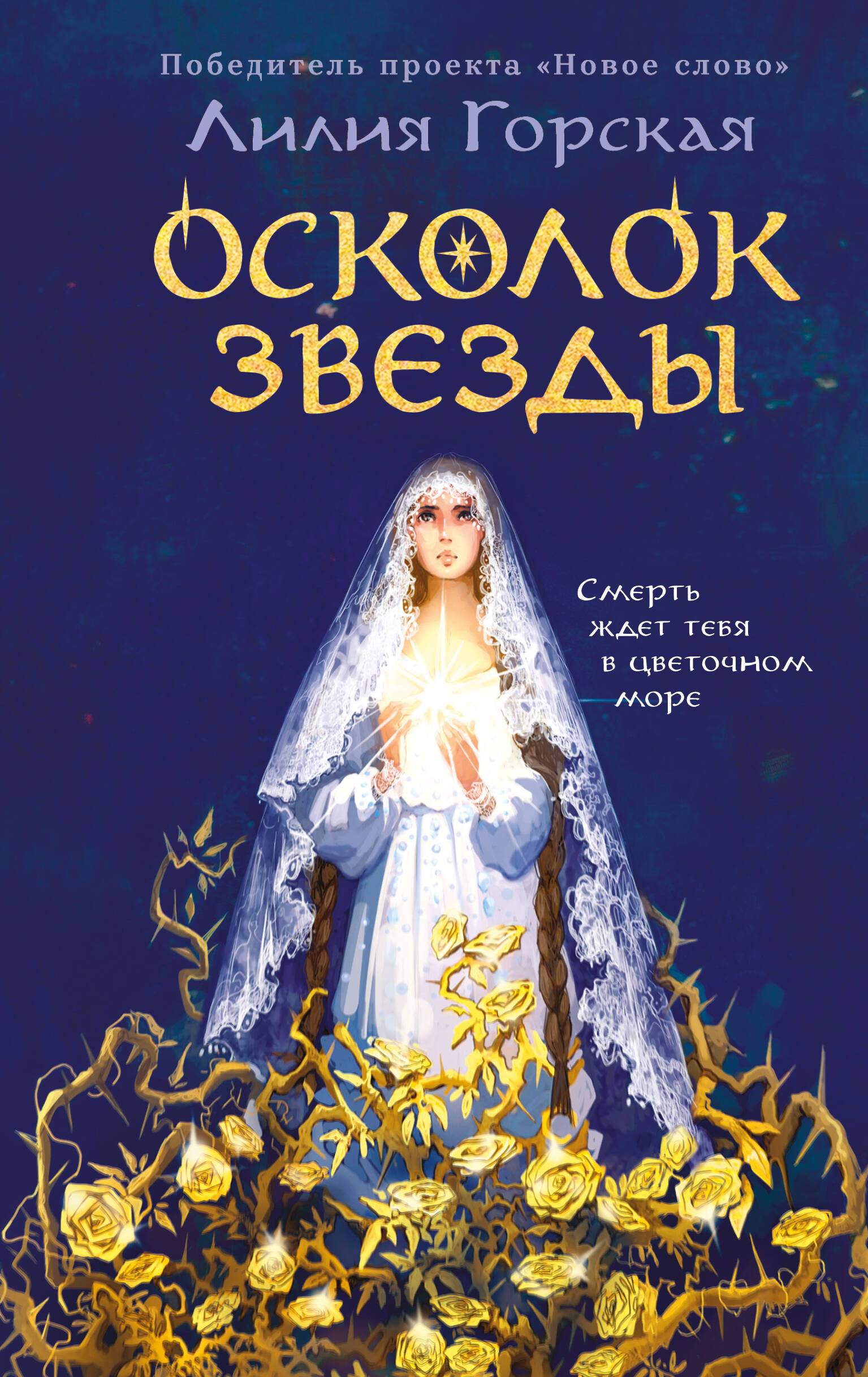 Осколок звезды
Осколок звезды