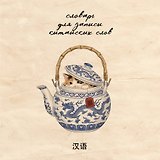 Словарь для записи китайских слов (15х15 см) (Котик в чайнике)