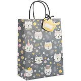 Пакет А4 30*22*11 Funny Cats дет., бум.мат.ламинат