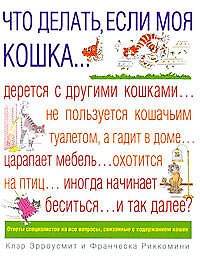 Что делать, если моя кошка...