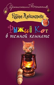ИД(м).Рыжий кот в темной комнате