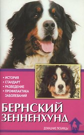 Бернский зенненхунд. История. Стандарты. Разведение. Профилактика заболеваний