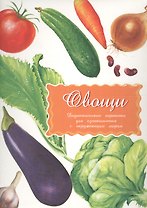 Дидактические карточки Овощи