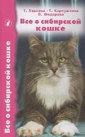 Все о сибирской кошке