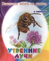 Утренние лучи