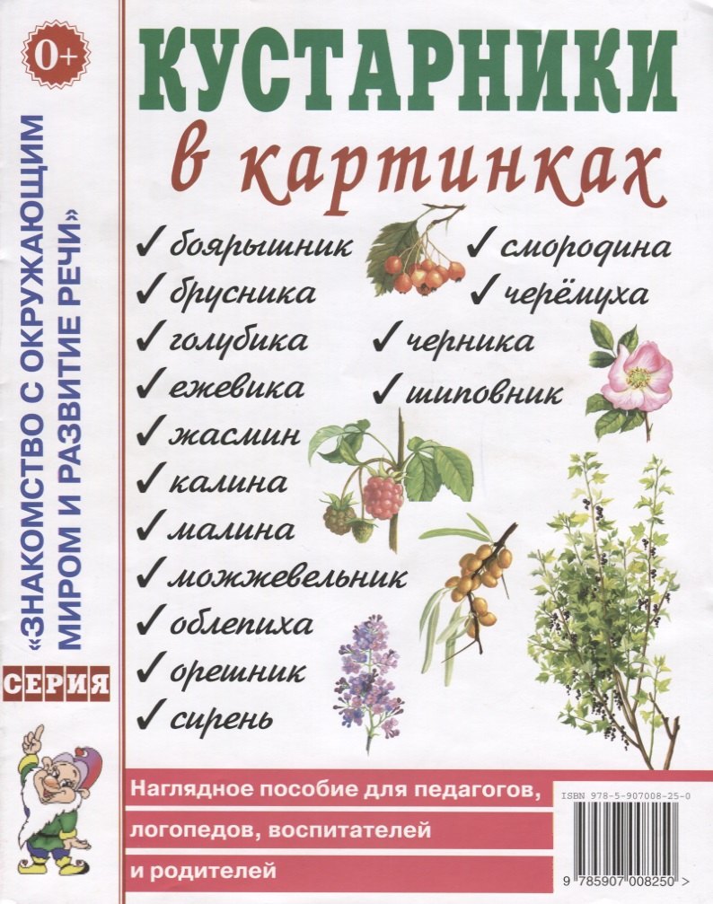 Кустарники в картинках. Наглядное пособие для педагогов, логопедов, воспитателей и родителей 
Кустарники в картинках. Наглядное пособие для педагогов, логопедов, воспитателей и родителей