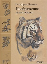 Изображение животных