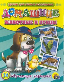 Домашние животные и птицы /16 обучающих карточек