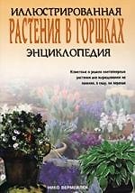 Растения в горшках