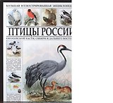 Большая иллюстрированная энциклопедия. Птицы России