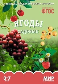 ФГОС Мир в картинках. Ягоды садовые.
