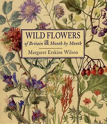 Wild Flowers of Britain: Month by Month