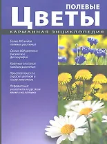 Полевые цветы