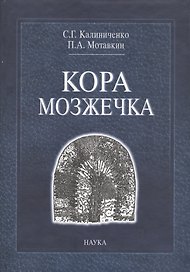 Кора мозжечка