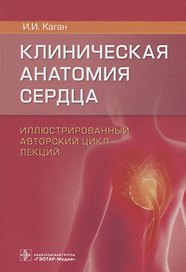 Клиническая анатомия сердца 18г.