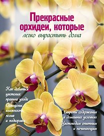 Прекрасные орхидеи, которые легко вырастить дома