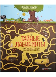 Тайные лабиринты. Большая книга лабиринтов