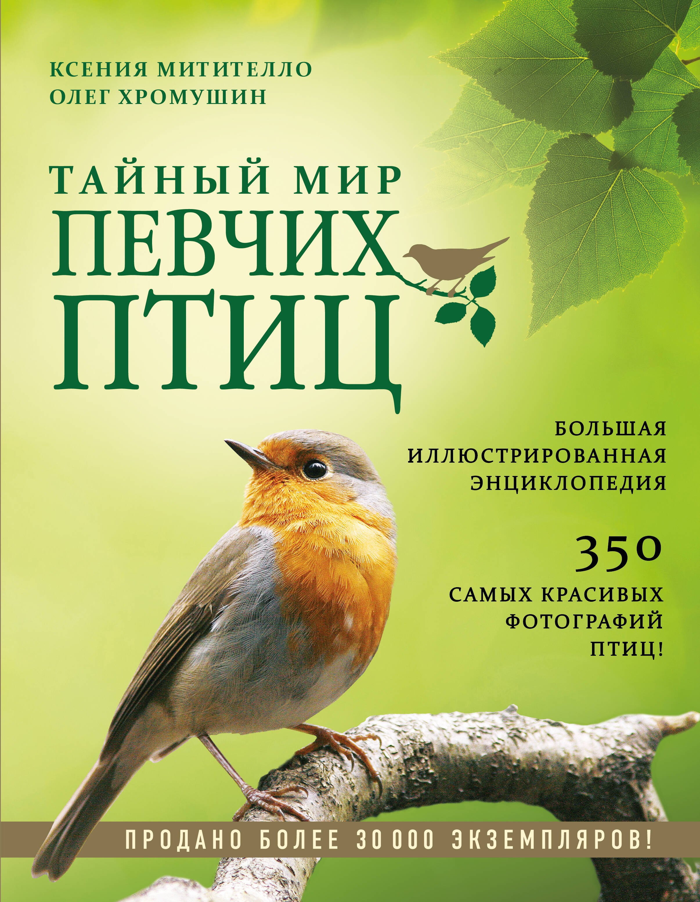 Тайный мир певчих птиц. Большая иллюстрированная энциклопедия 
Тайный мир певчих птиц. Большая иллюстрированная энциклопедия