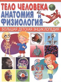 Тело человека. Анатомия и физиология.