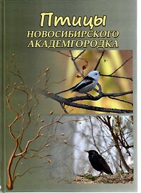 Птицы Новосибирского Академгородка. Фотоальбом
